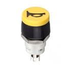 Apem IGN5S00M02 扩大的图像