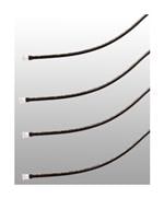 Bivar LC2-10.0 扩大的图像