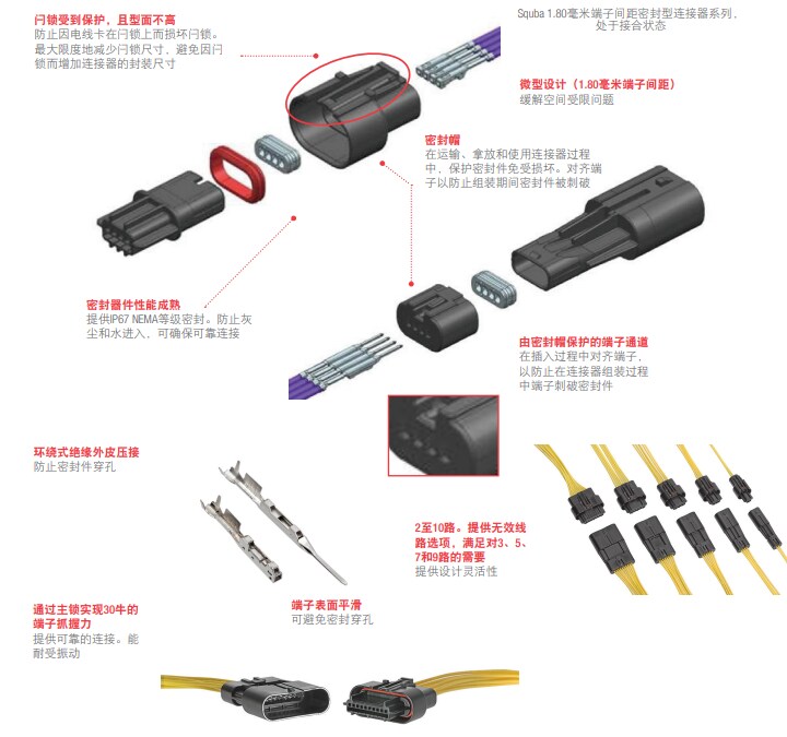 框图 - Molex Squba 1.8mm/3.6mm密封式线对线连接器