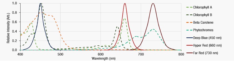 Würth Elektronik 园艺LED