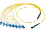 Molex QSFP-DD 16F电缆组件