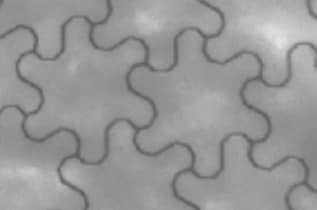 信息图 - Panasonic Industrial Devices EMA0600003B0透明导电膜