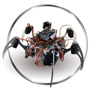 Spiderbot