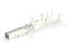 Molex 202988-1241 (Loose Piece)