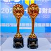 2022china-cfs-award