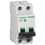 Schneider Electric M9F21206 扩大的图像